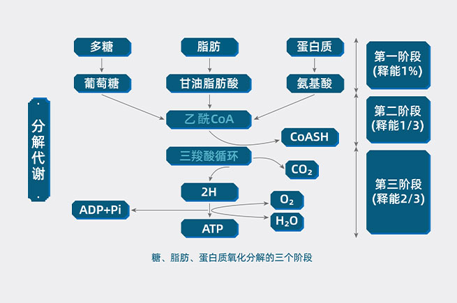 &#20159;&#24503;&#20307;&#32946;&#40;&#20013;&#22269;&#41;&#20307;&#32946;&#23448;&#26041;&#32593;&#31449;